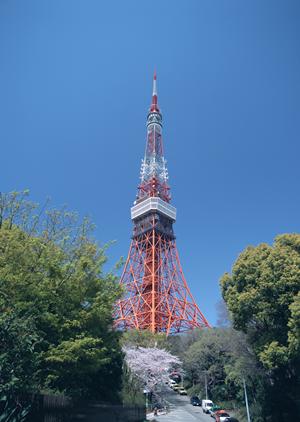 青森の不動産屋や物件を探せる相談所